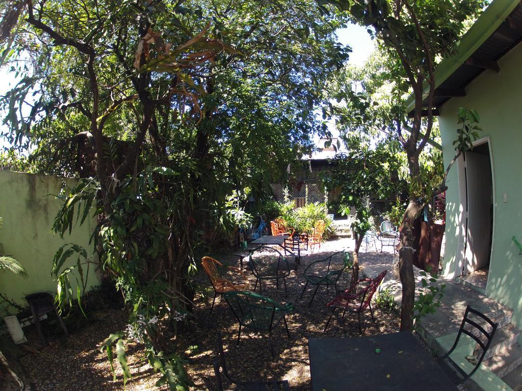 Hamaca Paraguaya Hostel Асунсьйон Екстер'єр фото