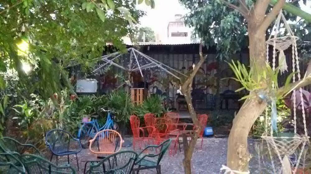 Hamaca Paraguaya Hostel Асунсьйон Екстер'єр фото